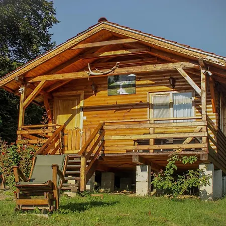 Du Bf Sighisoara